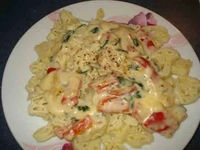 Pratik Makarna Sosları Tarifi ve Malzemeleri